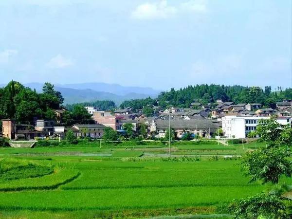 湖南金沃财智,金蝶软件,金蝶财务软件